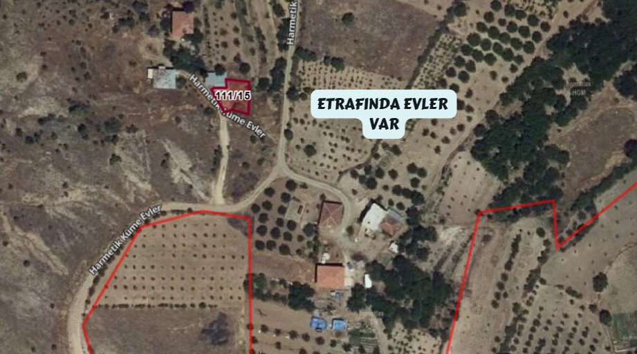 ELAZIĞ BASKİL KOÇYOLU KÖYÜNDE 269M² TARLAMIZ SATILIKTIR. - ELAZIĞ BASKİL fotoğraf 9
